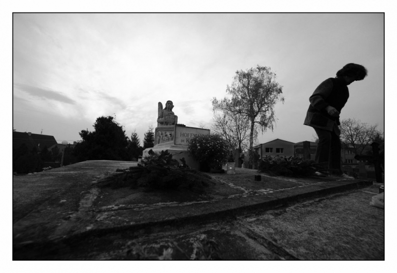 Kliknite pre zobrazenie veľkého obrázka