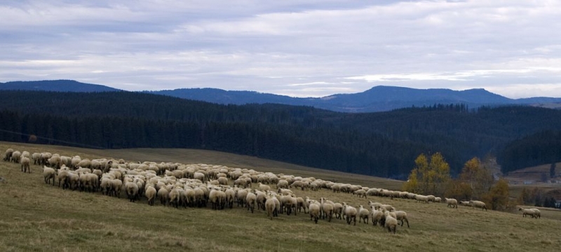 Kliknite pre zobrazenie veľkého obrázka