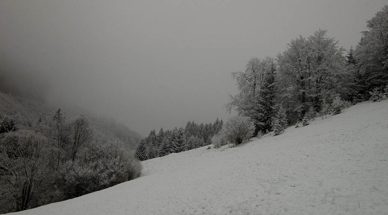 Kliknite pre zobrazenie veľkého obrázka