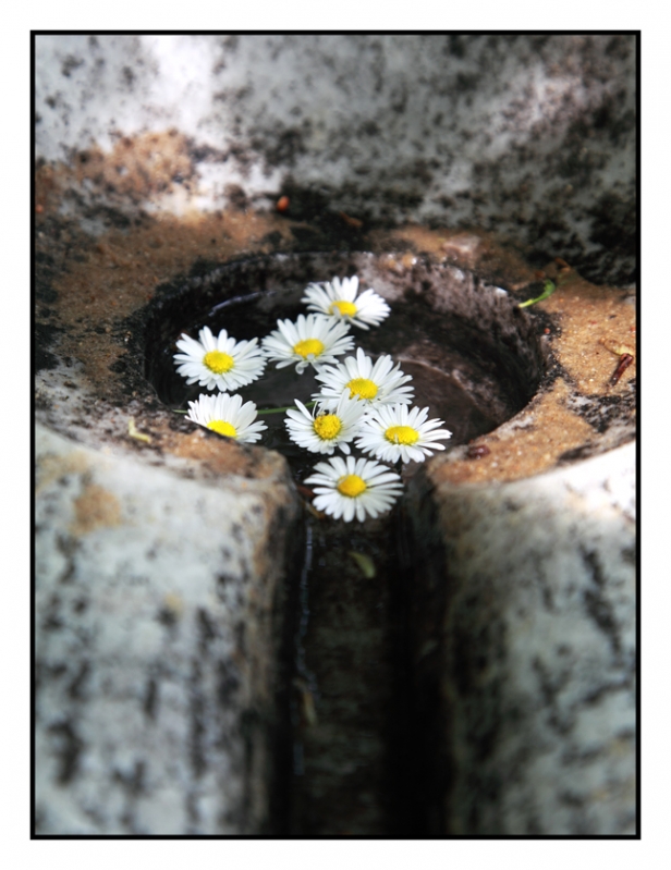 Kliknite pre zobrazenie veľkého obrázka