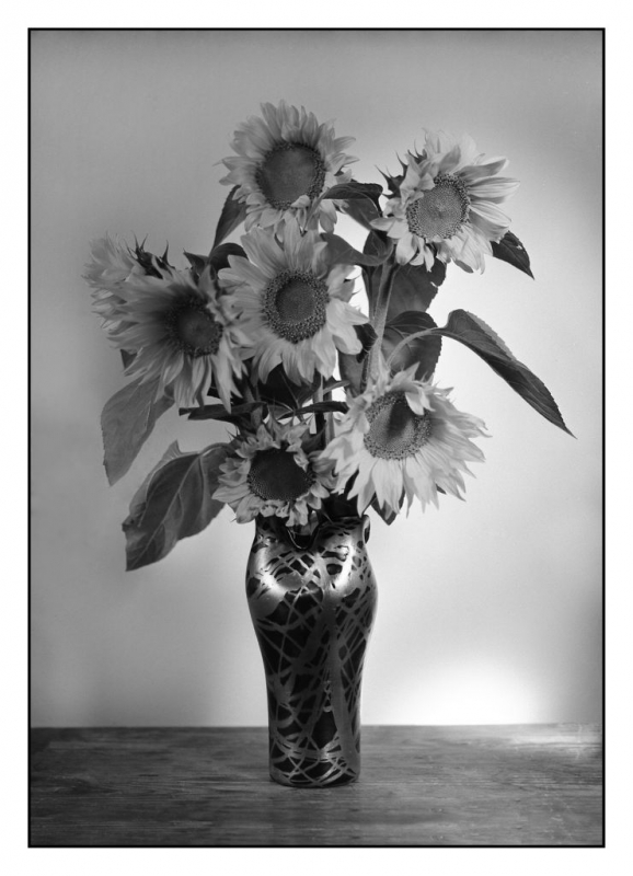 Kliknite pre zobrazenie veľkého obrázka