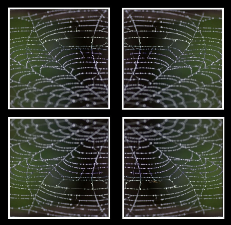 Kliknite pre zobrazenie veľkého obrázka
