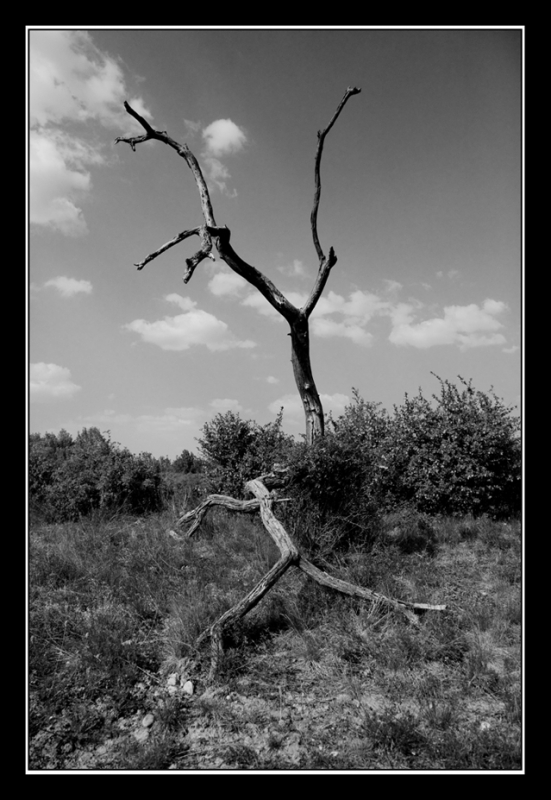Kliknite pre zobrazenie veľkého obrázka