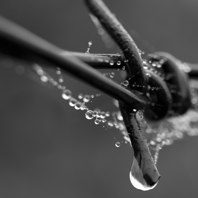 Kliknite pre zobrazenie veľkého obrázka