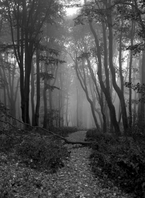 Kliknite pre zobrazenie veľkého obrázka