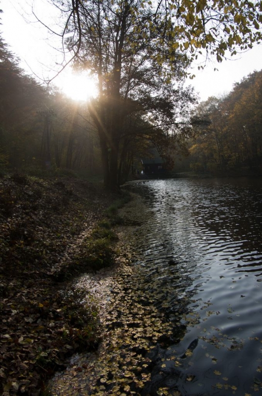 Kliknite pre zobrazenie veľkého obrázka