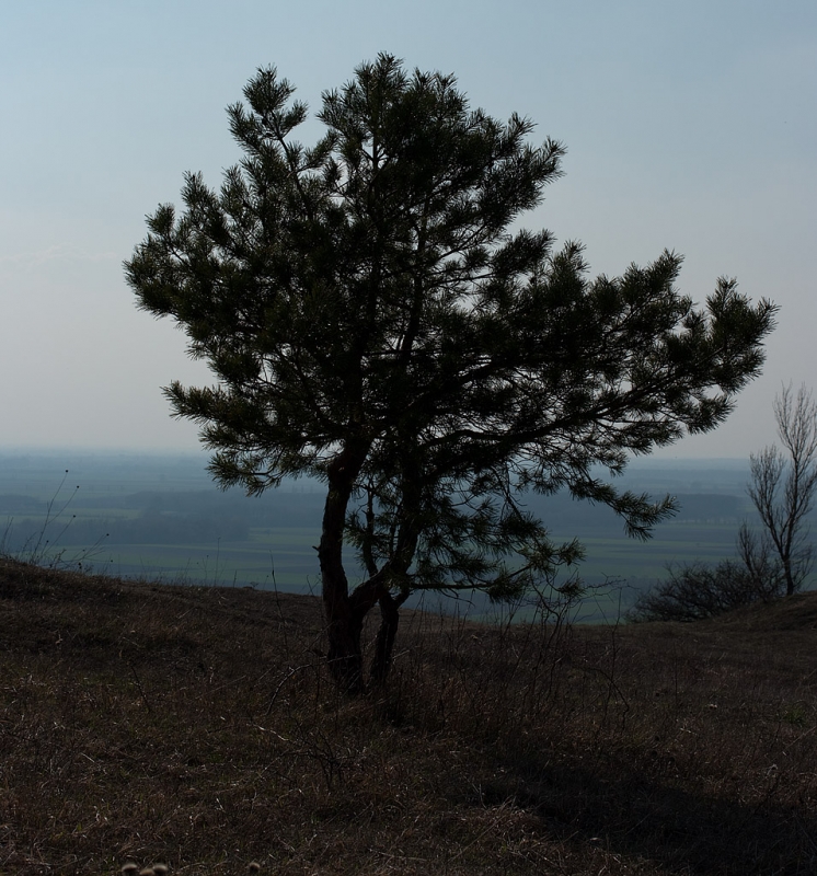 Kliknite pre zobrazenie veľkého obrázka