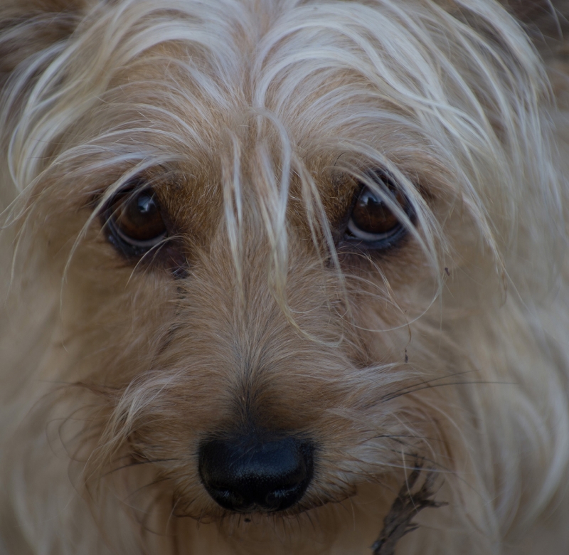 Kliknite pre zobrazenie veľkého obrázka