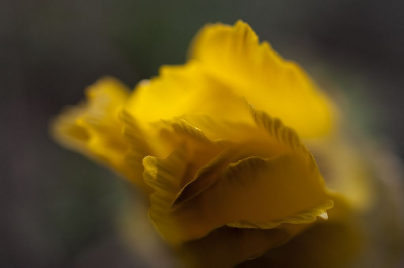 Kliknite pre zobrazenie veľkého obrázka