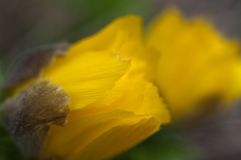 Kliknite pre zobrazenie veľkého obrázka