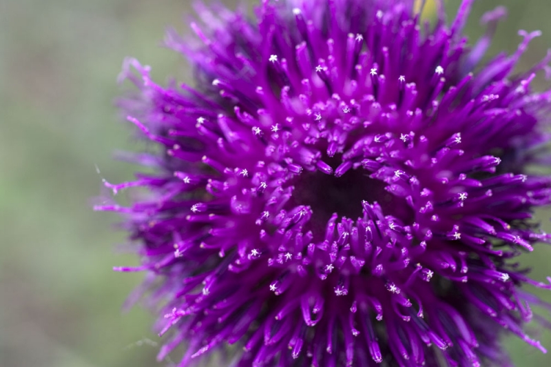 Kliknite pre zobrazenie veľkého obrázka