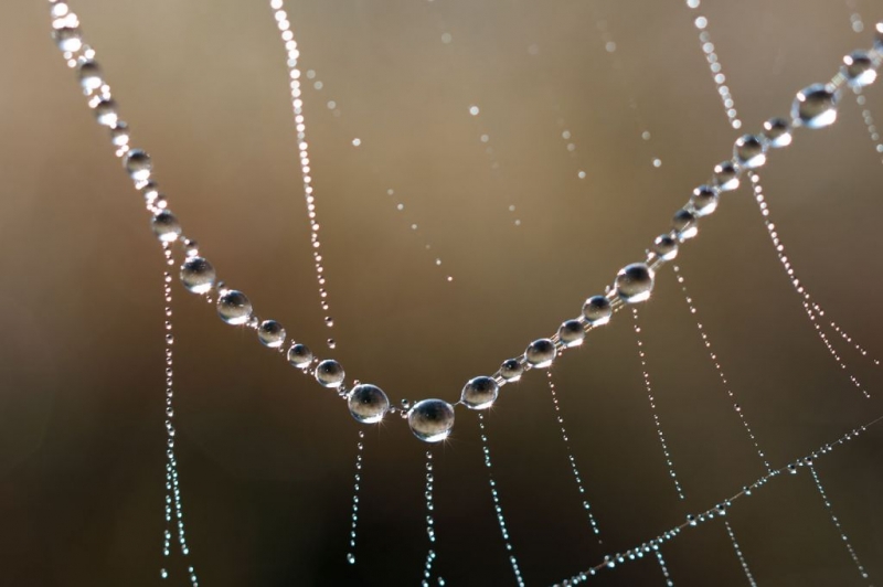 Kliknite pre zobrazenie veľkého obrázka