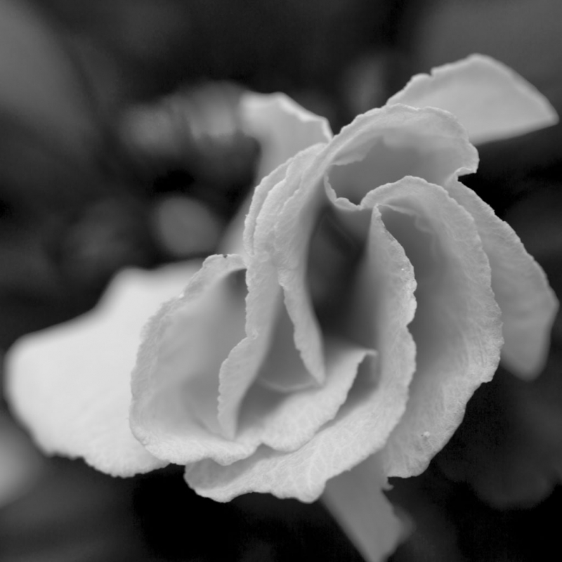 Kliknite pre zobrazenie veľkého obrázka