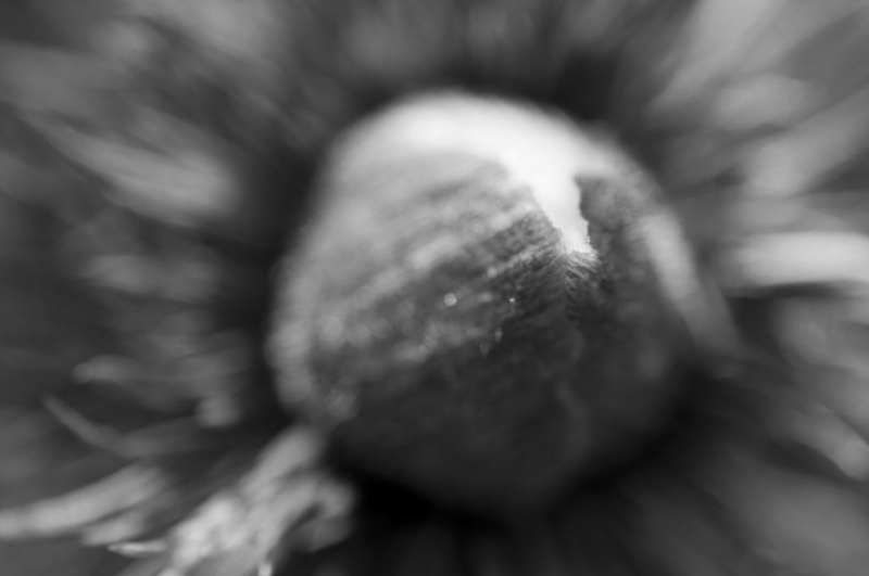 Kliknite pre zobrazenie veľkého obrázka