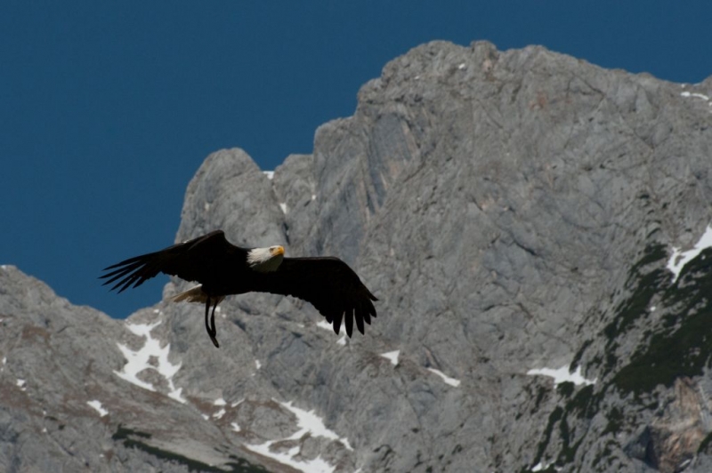 Kliknite pre zobrazenie veľkého obrázka