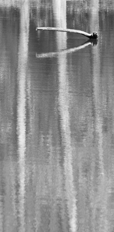 Kliknite pre zobrazenie veľkého obrázka