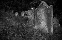 Názov súboru=IMGP7291.JPG
Veľkosť súboru=546KB
Veľkosť=1546x1024
Dátum pridania=11. Júl 2013 IMGP7291.JPG