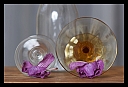 Názov súboru=Orchidea.jpg
Veľkosť súboru=369KB
Veľkosť=1022x702
Dátum pridania=24. November 2016 Orchidea.jpg