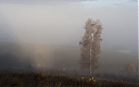 Názov súboru=_IGP1014.jpg
Veľkosť súboru=174KB
Veľkosť=1280x804
Dátum pridania=07. Apríl 2013 _IGP1014.jpg