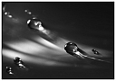 Názov súboru=_IGP5275s.jpg
Veľkosť súboru=88KB
Veľkosť=1414x1000
Dátum pridania=07. Apríl 2013 _IGP5275s.jpg