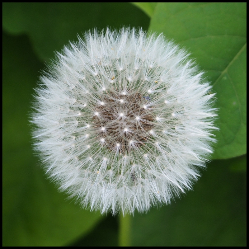 Kliknite pre zobrazenie veľkého obrázka