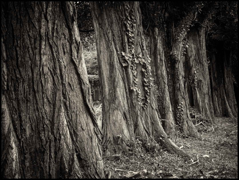 Kliknite pre zobrazenie veľkého obrázka