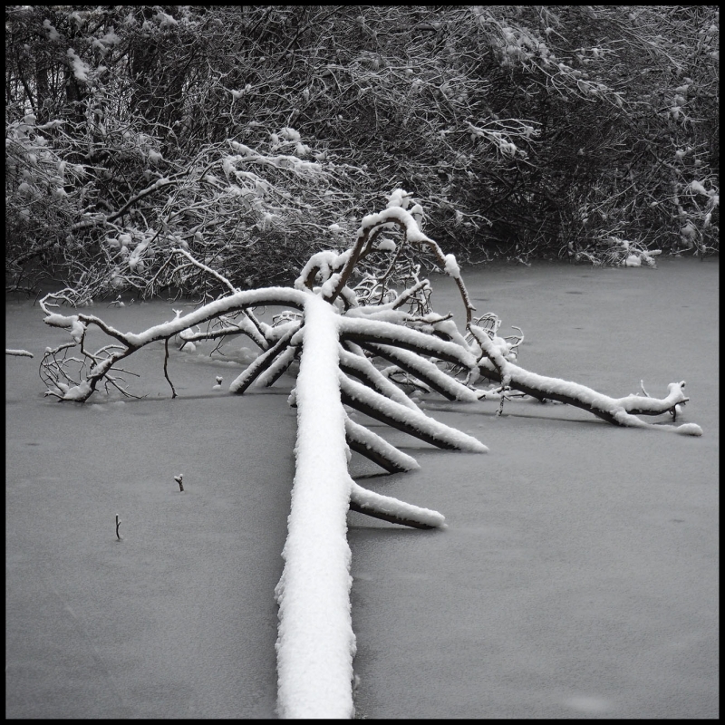 Kliknite pre zobrazenie veľkého obrázka