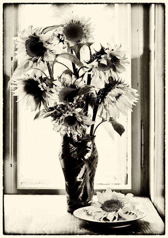 Kliknite pre zobrazenie veľkého obrázka