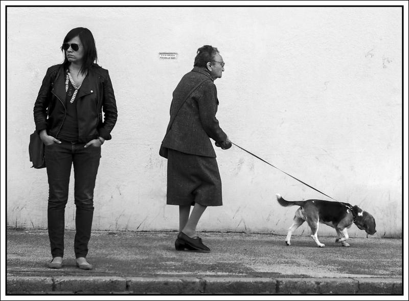 Kliknite pre zobrazenie veľkého obrázka