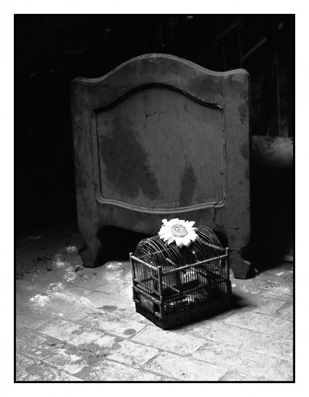 Kliknite pre zobrazenie veľkého obrázka