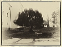 Názov súboru=Smutna_vrba_2.jpg
Veľkosť súboru=429KB
Veľkosť=1476x1107
Dátum pridania=04. November 2015 Smutna_vrba_2.jpg