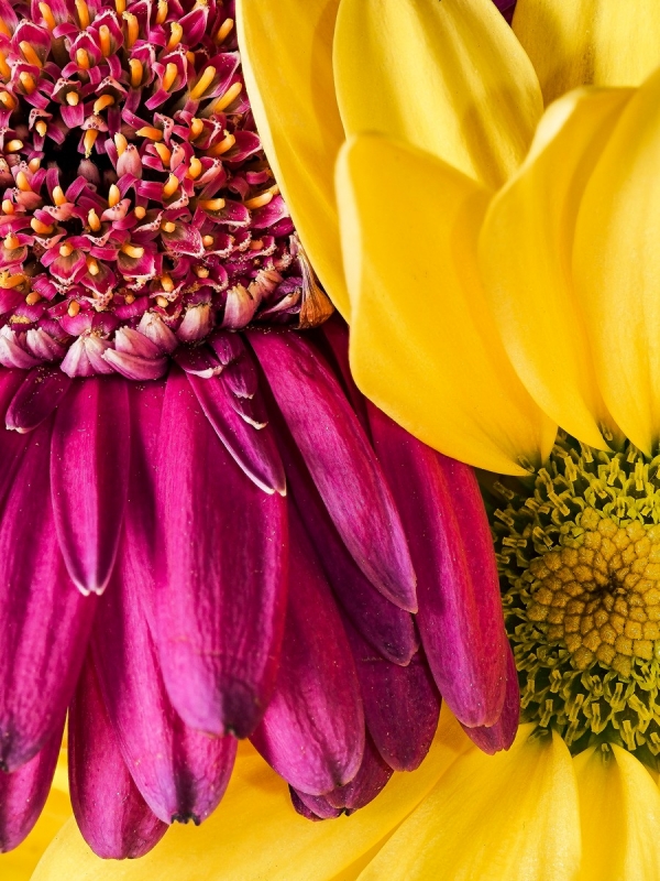 Kliknite pre zobrazenie veľkého obrázka