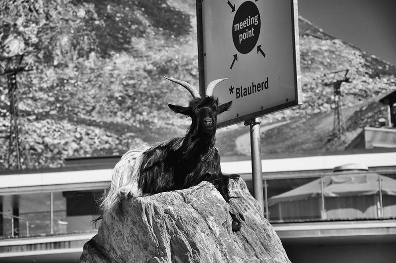 Kliknite pre zobrazenie veľkého obrázka