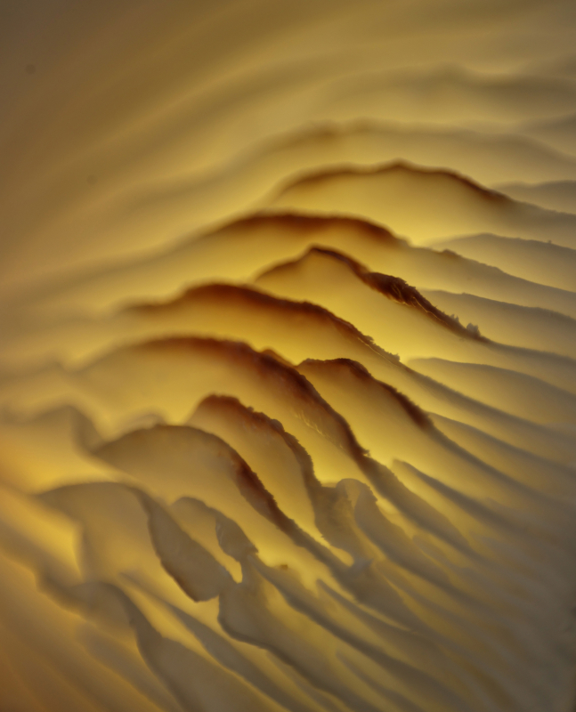 Kliknite pre zobrazenie veľkého obrázka