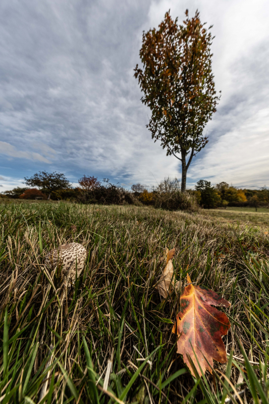 Kliknite pre zobrazenie veľkého obrázka