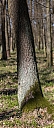 Názov súboru=_MG_8585.jpg
Veľkosť súboru=175KB
Veľkosť=423x1000
Dátum pridania=14. Marec 2016 _MG_8585.jpg