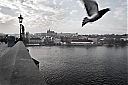 Názov súboru=hokm-.jpg
Veľkosť súboru=92KB
Veľkosť=900x600
Dátum pridania=26. Apríl 2013 hokm-.jpg