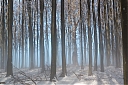 Názov súboru=vysoka_hill_33.jpg
Veľkosť súboru=653KB
Veľkosť=1500x1000
Dátum pridania=22. Január 2016 vysoka_hill_33.jpg