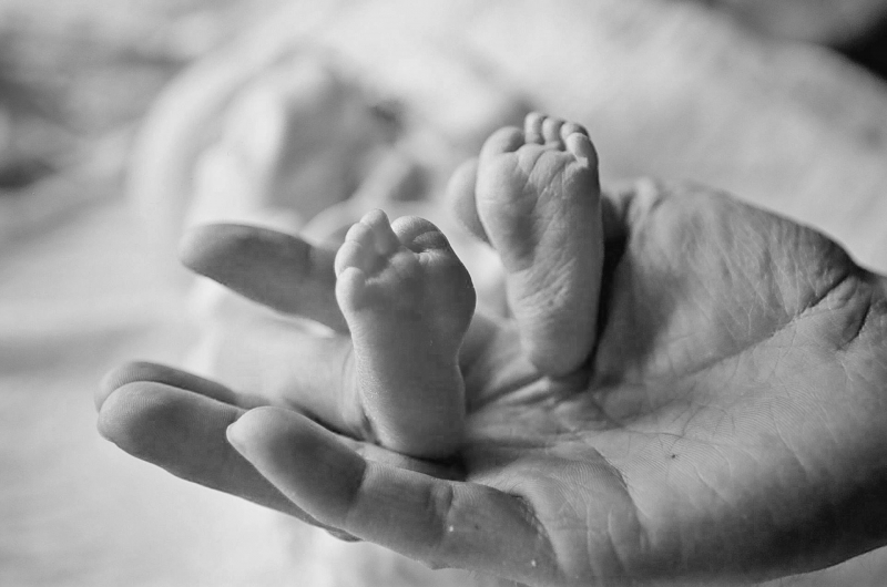 Kliknite pre zobrazenie veľkého obrázka