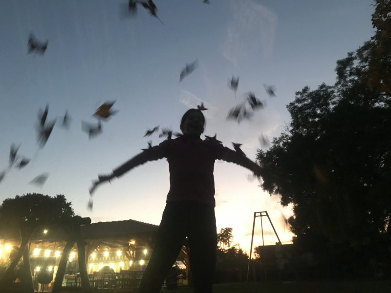 Kliknite pre zobrazenie veľkého obrázka