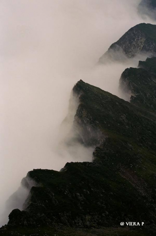 Kliknite pre zobrazenie veľkého obrázka