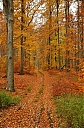 Názov súboru=jesen.jpg
Veľkosť súboru=1258KB
Veľkosť=1328x2000
Dátum pridania=29. November 2019 jesen.jpg