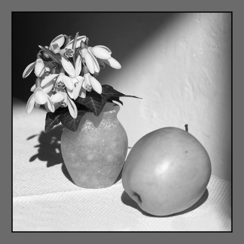 Kliknite pre zobrazenie veľkého obrázka