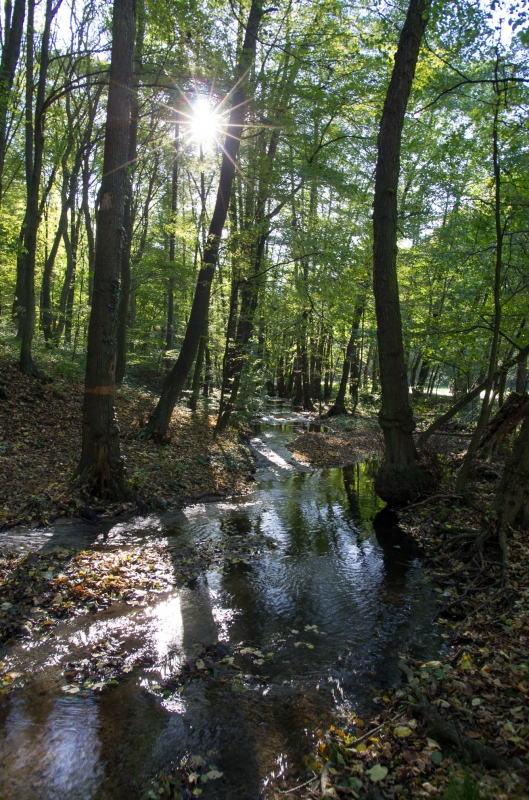 Kliknite pre zobrazenie veľkého obrázka