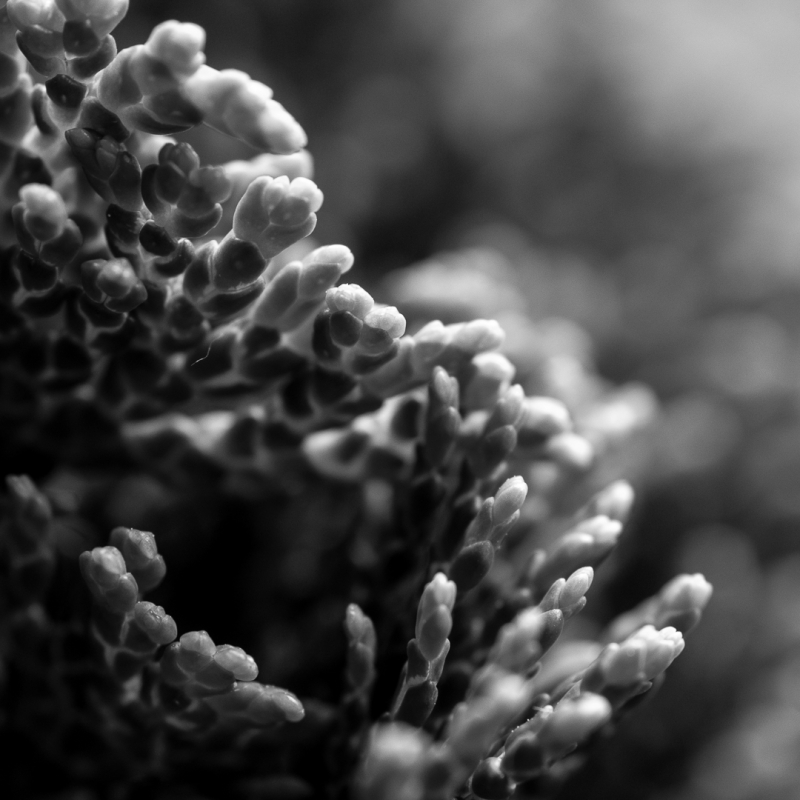 Kliknite pre zobrazenie veľkého obrázka