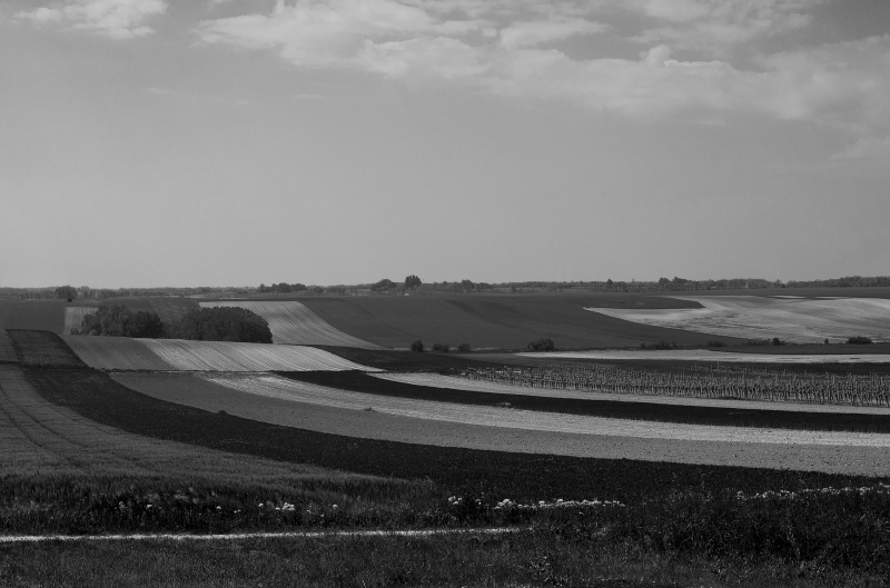 Kliknite pre zobrazenie veľkého obrázka
