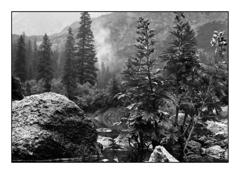 Kliknite pre zobrazenie veľkého obrázka