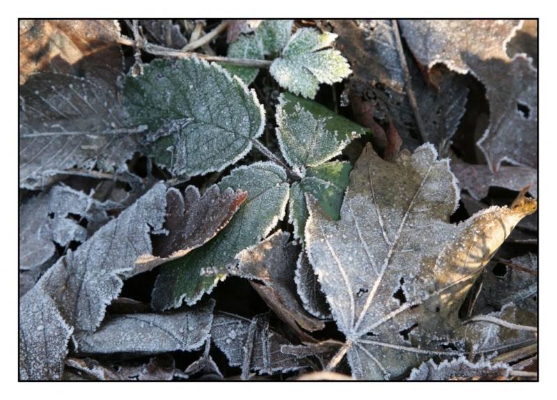 Kliknite pre zobrazenie veľkého obrázka