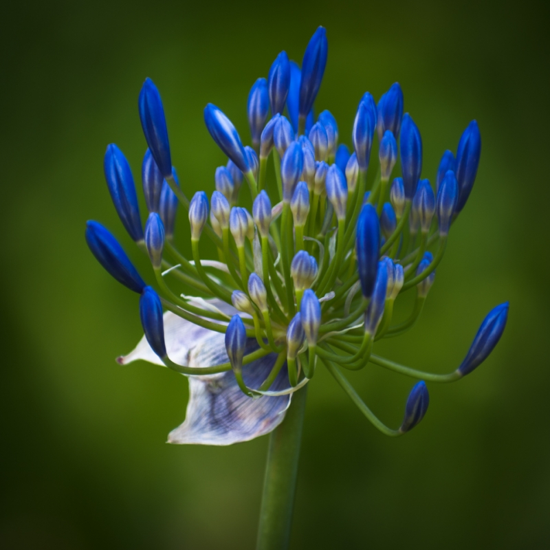 Kliknite pre zobrazenie veľkého obrázka