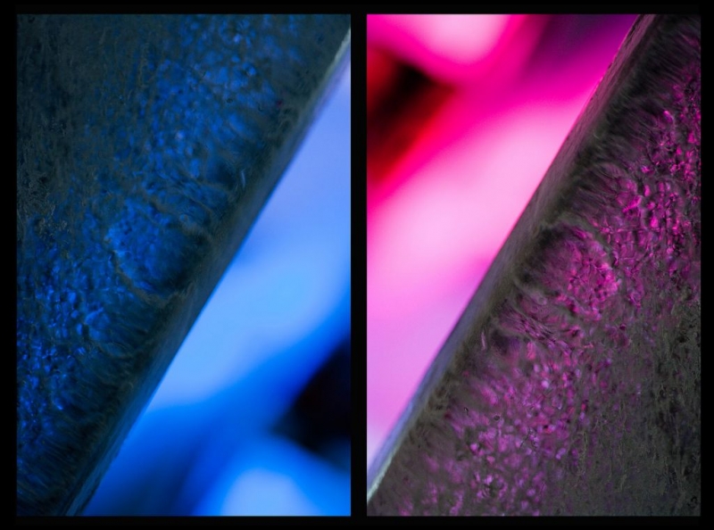 Kliknite pre zobrazenie veľkého obrázka